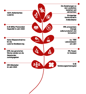 Grafica bilancio sostenibilità DE